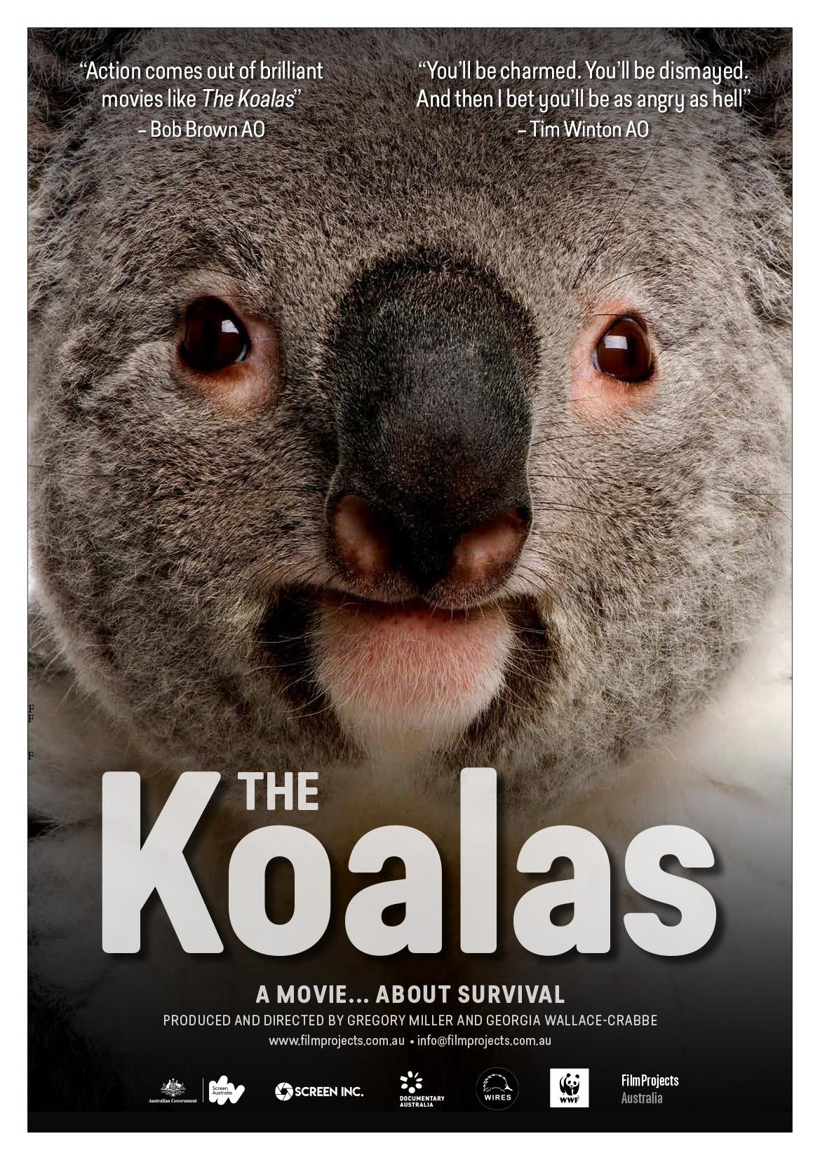 The Koalas